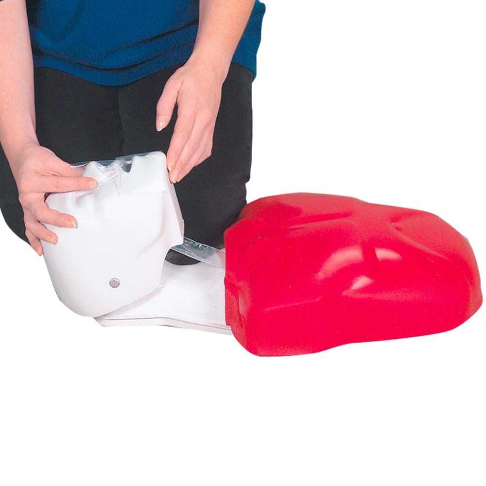 Erler Zimmer CPR Manikin Basic Buddy, Different Variants